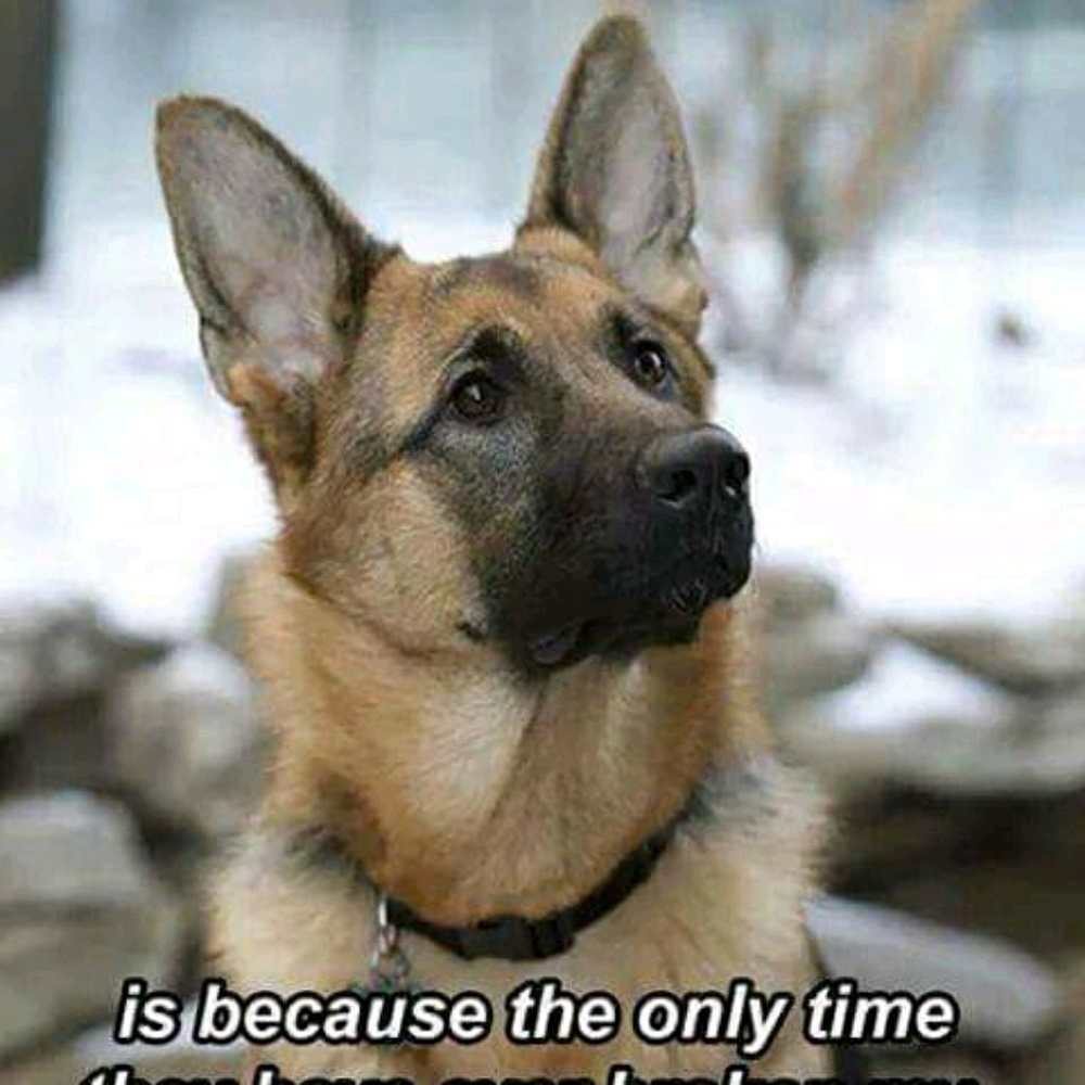 Meet your Posher, Ka